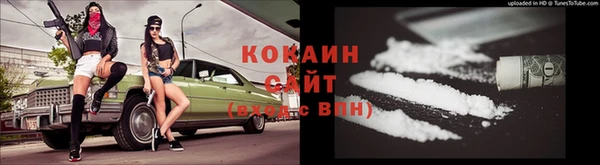 дмт Аркадак