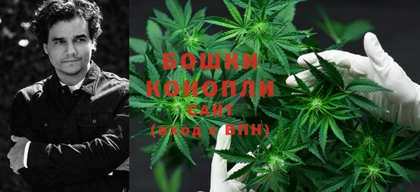 дмт Аркадак