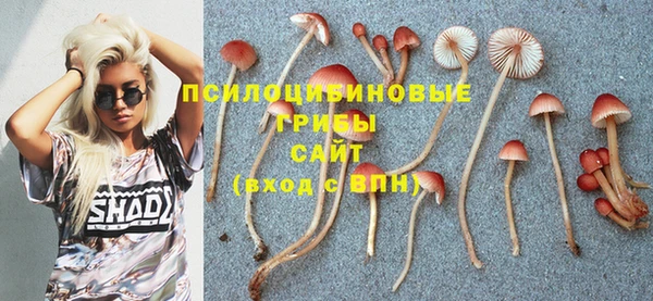 дмт Аркадак